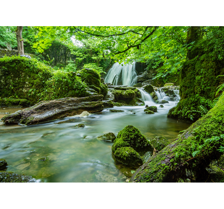 Forest with waterfall and river 3D Wall Mural - TenStickers