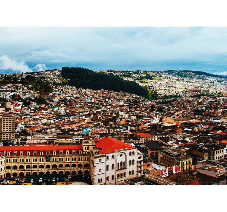 Loja city perspective wall mural - TenStickers