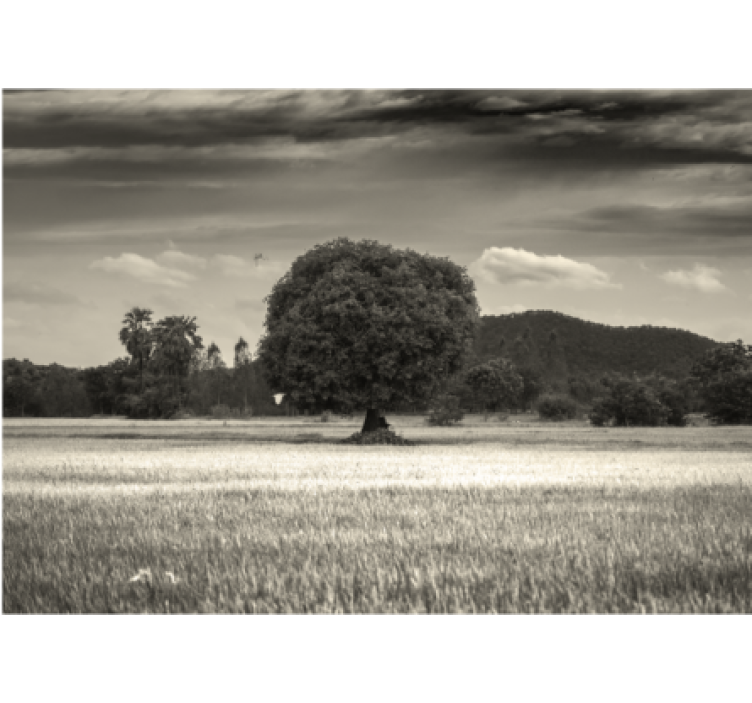 Tree mural lone tree landscape - TenStickers