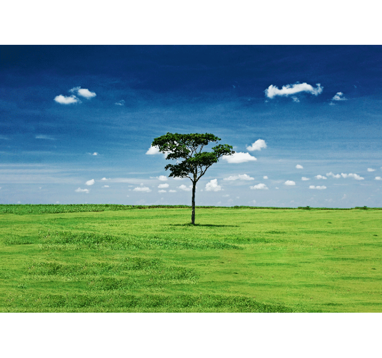 Single Tree Landscape tree wall mural - TenStickers