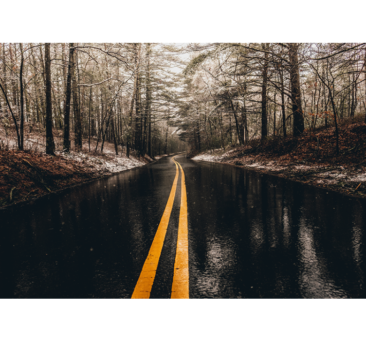 Curving Forest Road landscape mural wallpaper - TenStickers