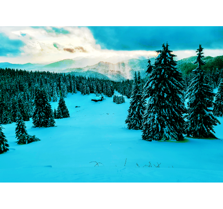Snowy Pine Forest landscape mural wallpaper - TenStickers