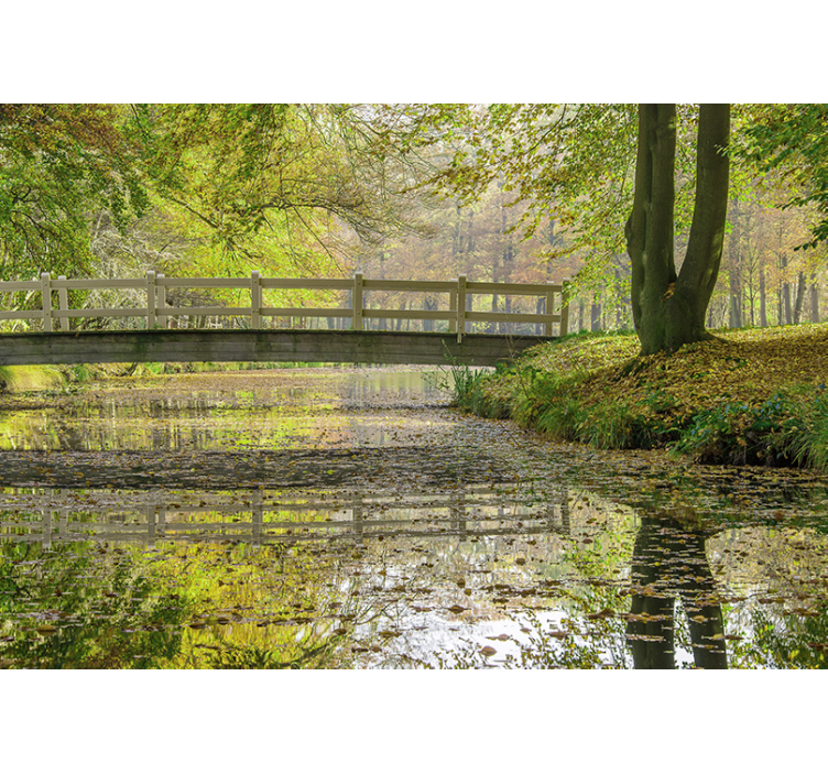 Serene River Bridge nature wall mural - TenStickers