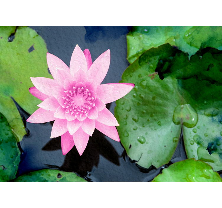 Pink Lotus Blossom flower mural - TenStickers
