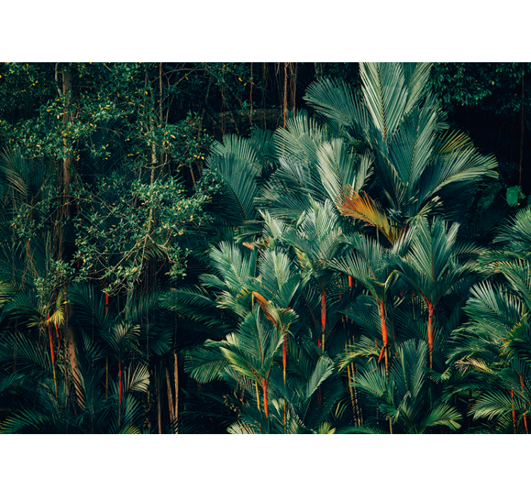 Nature wall mural exotic palm leaves - TenStickers