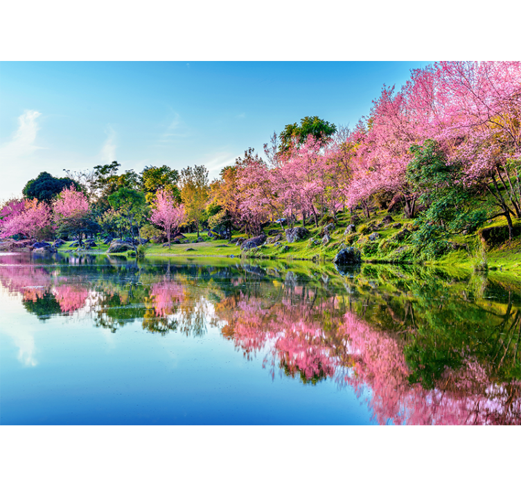 Cherry Blossom Reflections flower mural - TenStickers
