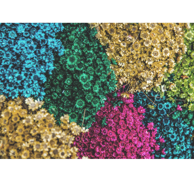 Flower mural with vibrant floral designs - TenStickers