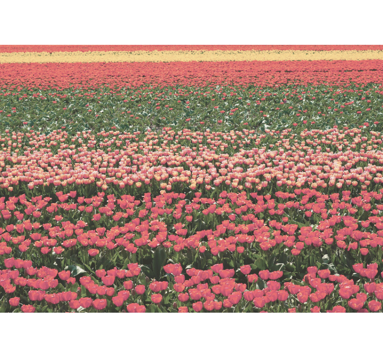 Flower mural tulip field landscape art - TenStickers