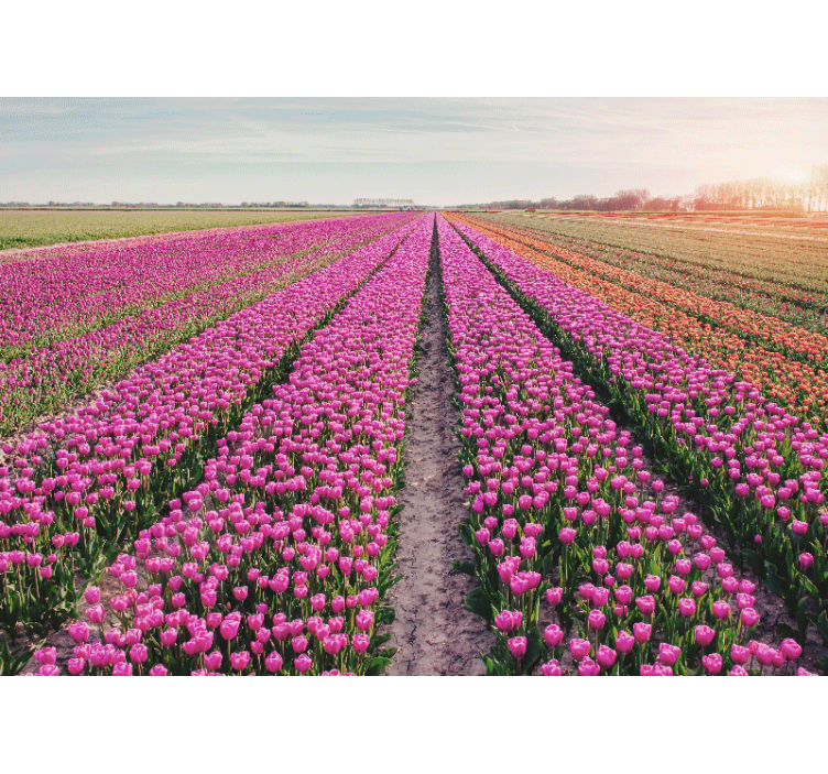 Flower mural tulip meadow landscape - TenStickers