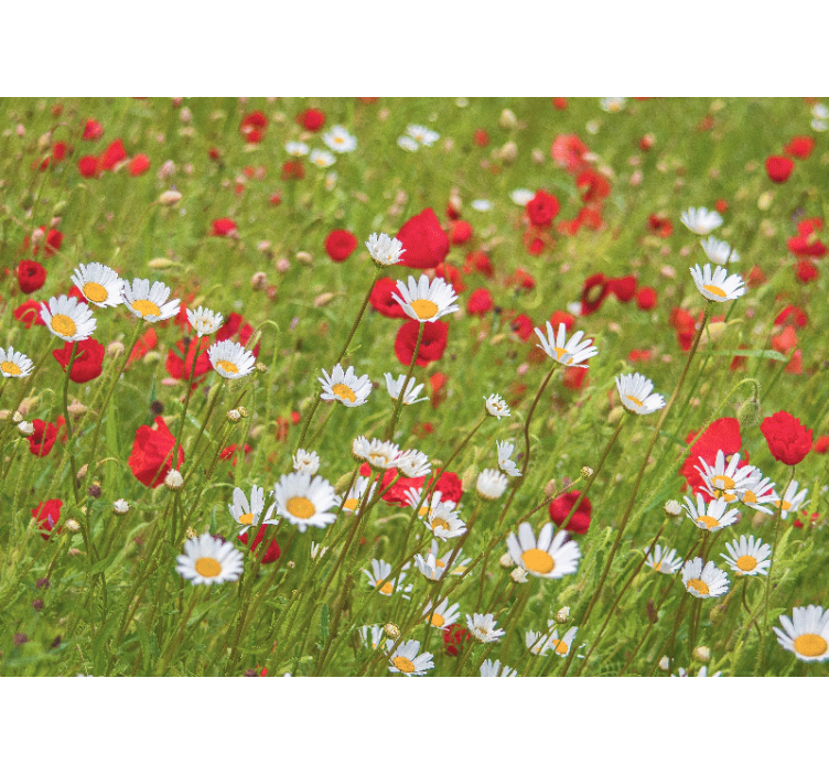 Flower mural vibrant flower field - TenStickers