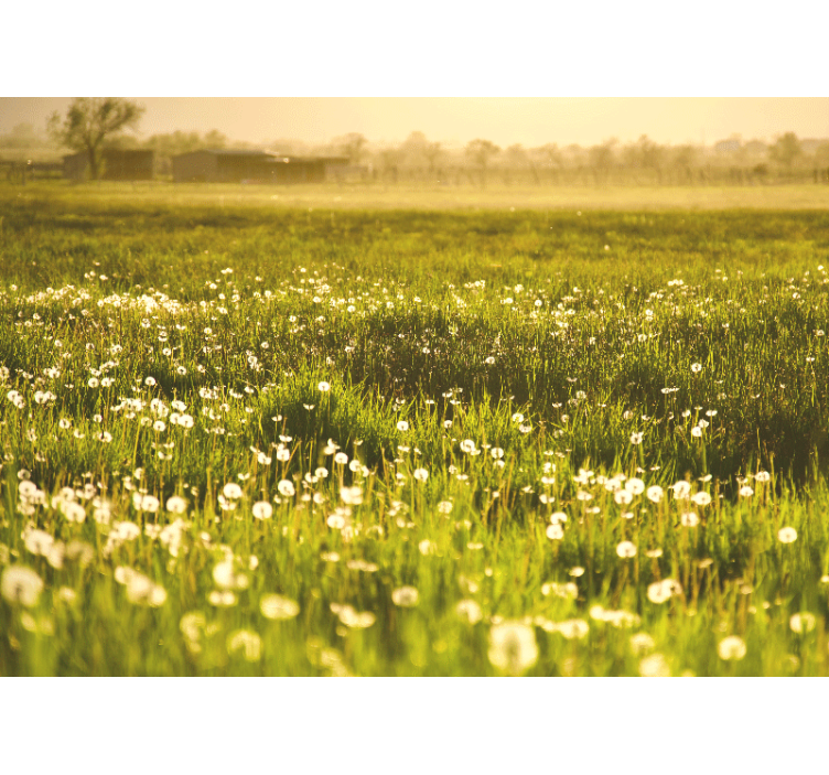 Flower mural dandelion meadow landscape - TenStickers