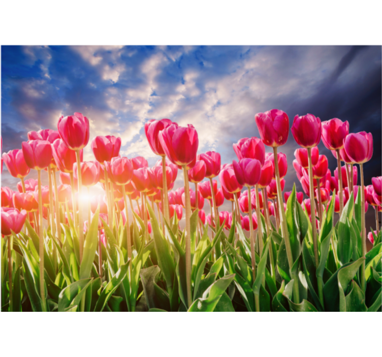 Flower mural radiant tulip field - TenStickers