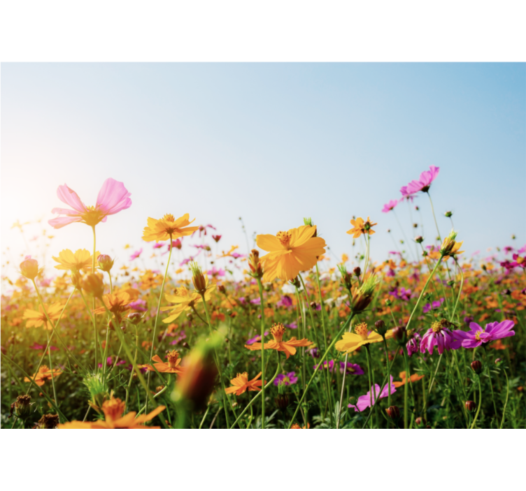 Mix of flowers types wall mural - TenStickers