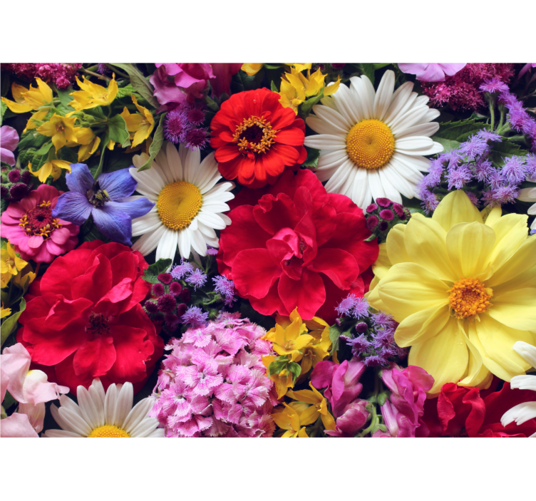 Flower mural vibrant bloom design - TenStickers