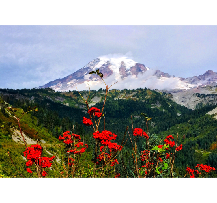 Landscape mural wallpaper snow-capped mountains - TenStickers