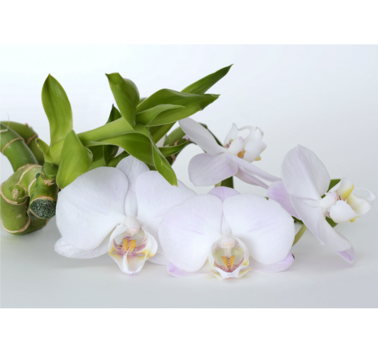 Orchid mural elegant orchid arrangement - TenStickers