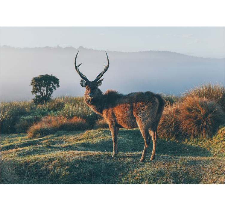 Majestic stag profile wall mural - TenStickers