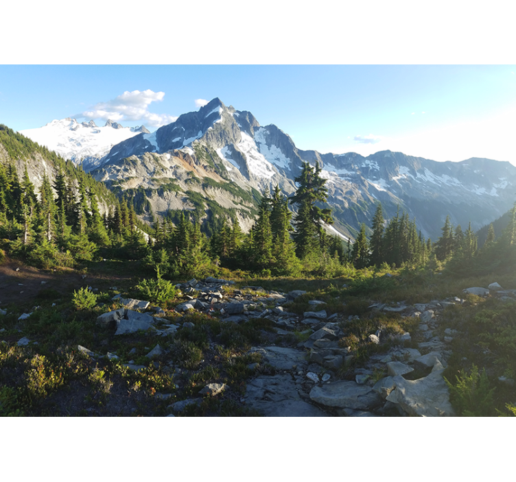 Landscape mural wallpaper mountainous forest scene - TenStickers