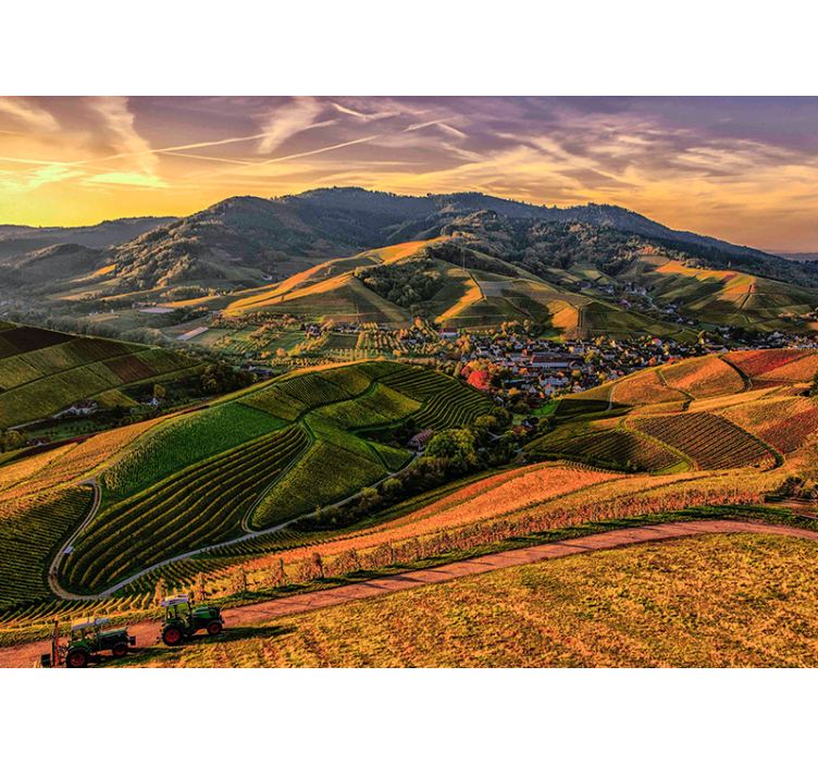 Mountain and green field Dining Room Wall Mural - TenStickers