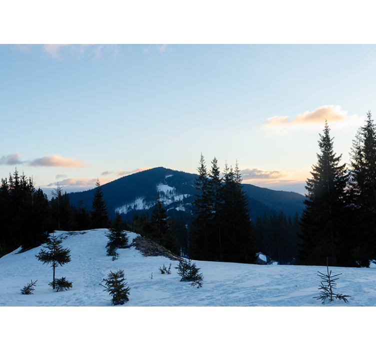 Mountain wall mural frosty summit landscape - TenStickers