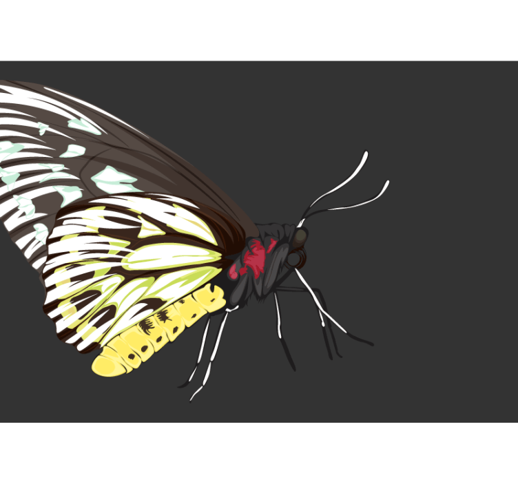 Yellow Butterfly Design flower mural - TenStickers