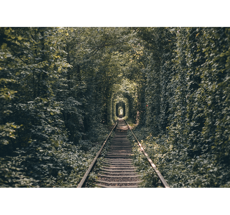 Landscape mural wallpaper railway tunnel nature - TenStickers
