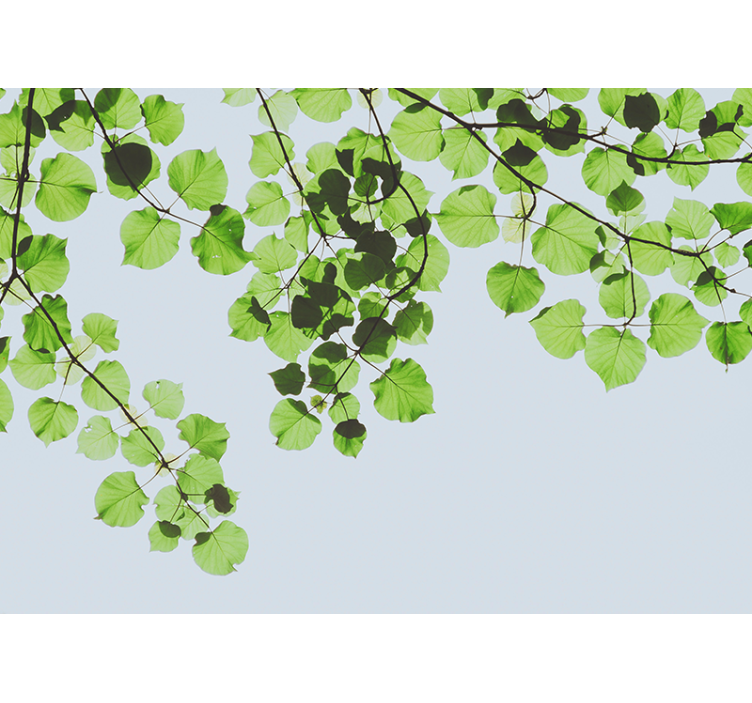 Tree mural leafy branches canopy - TenStickers