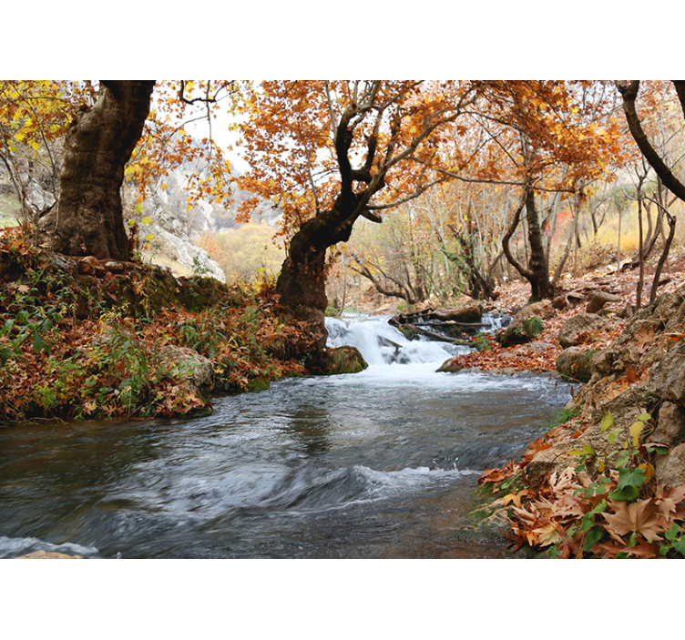 Nature wall mural forest stream serenity - TenStickers