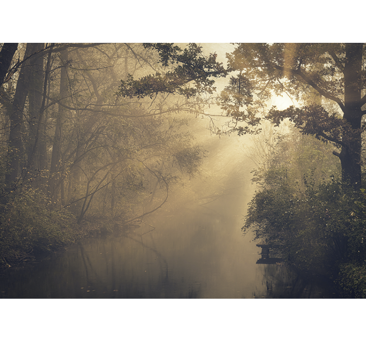 Nature wall mural luminous forest landscape - TenStickers