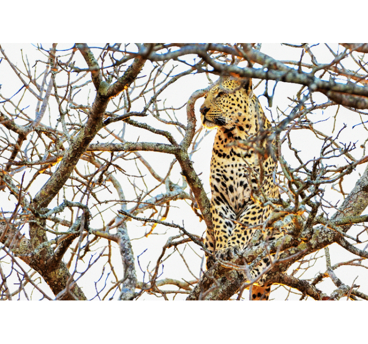 Leopard Among Branches wall mural - TenStickers