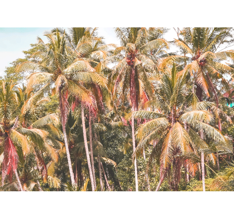 Nature wall mural lush palm forest - TenStickers