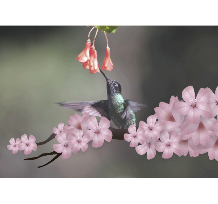Animal wall mural hummingbird and blooms - TenStickers