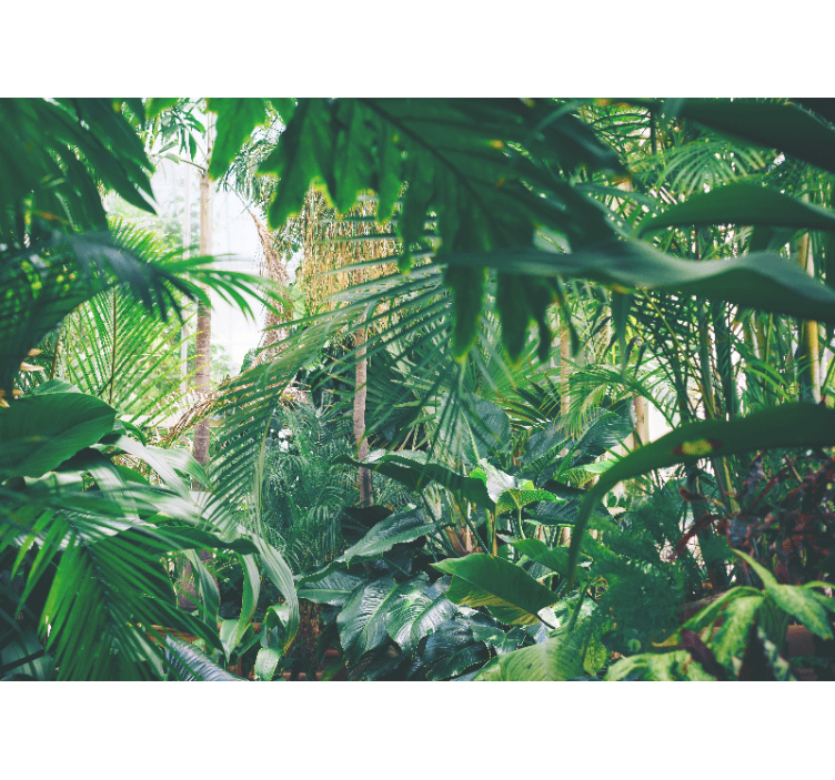 Jungle wall mural lush tropical oasis - TenStickers