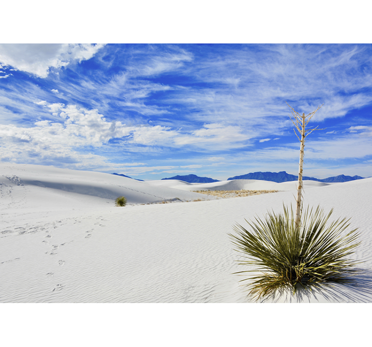 Landscape mural wallpaper desert landscape view - TenStickers