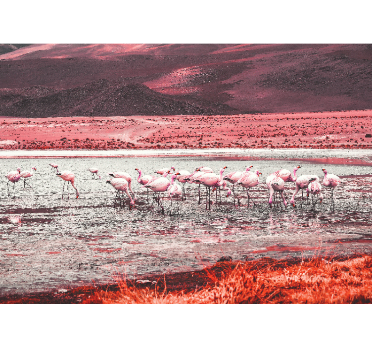 Wall mural flamingo habitat scene - TenStickers