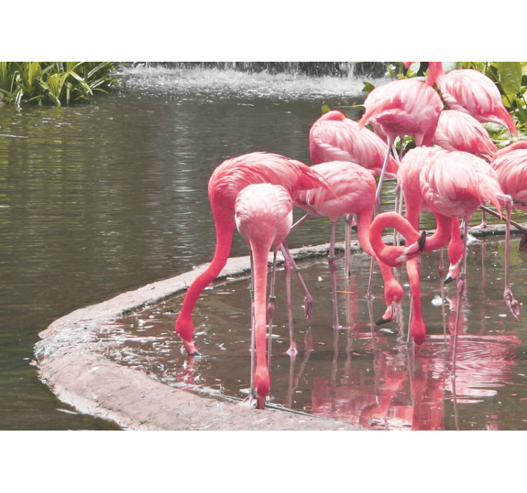 Nice landscape pink flamingos wall mural - TenStickers