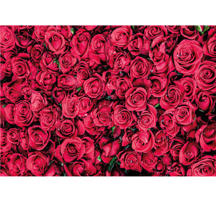 Rose mural vibrant rose blossoms - TenStickers