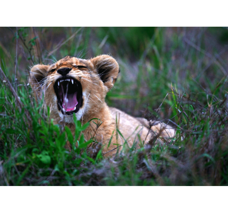 Lion mural roaring lion cub art decor - TenStickers