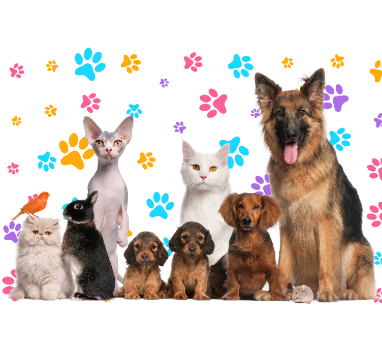 Dogs and cats paw  wall mural - TenStickers