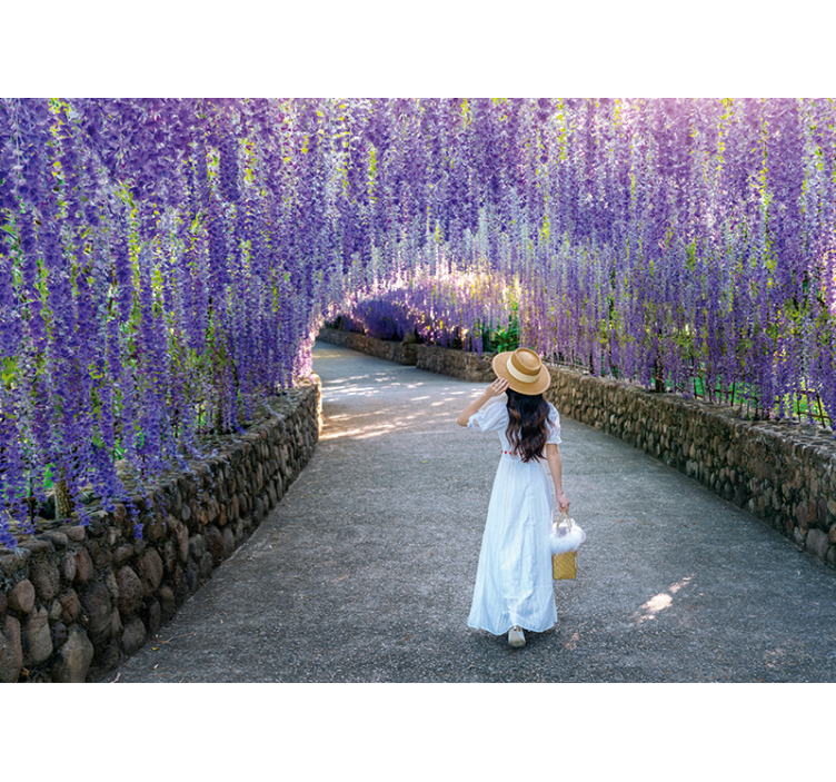 Flower mural wisteria blossom path - TenStickers