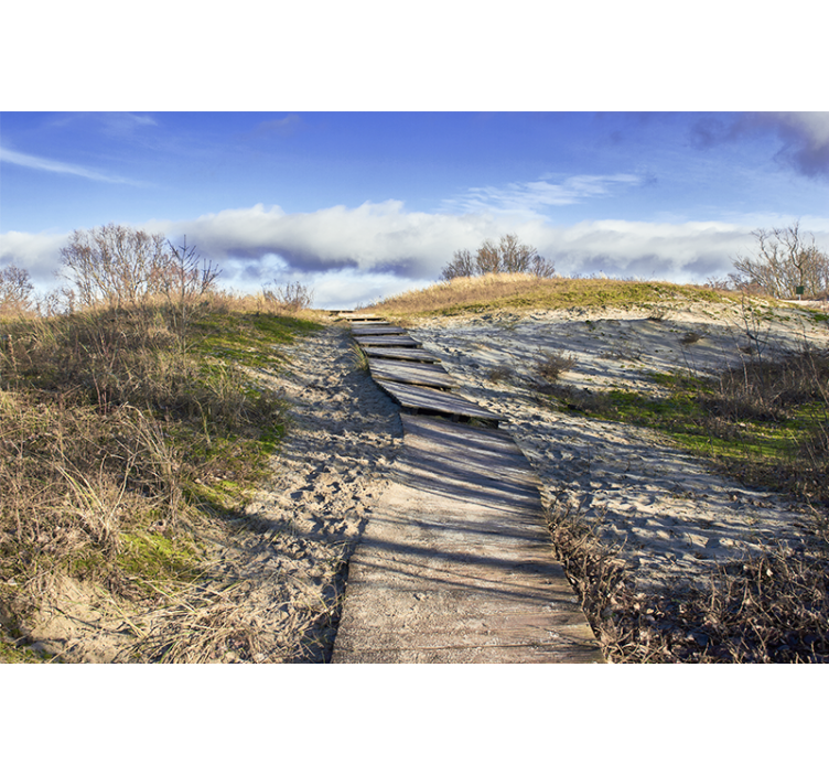 Landscape mural wallpaper wooden pathway scene - TenStickers