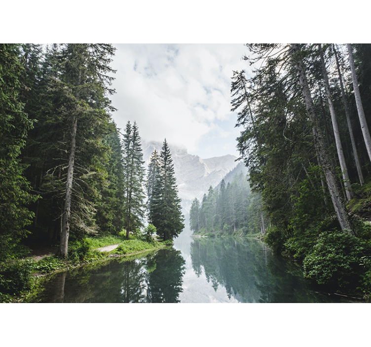 Tranquil forest echo landscape mural wallpaper - TenStickers