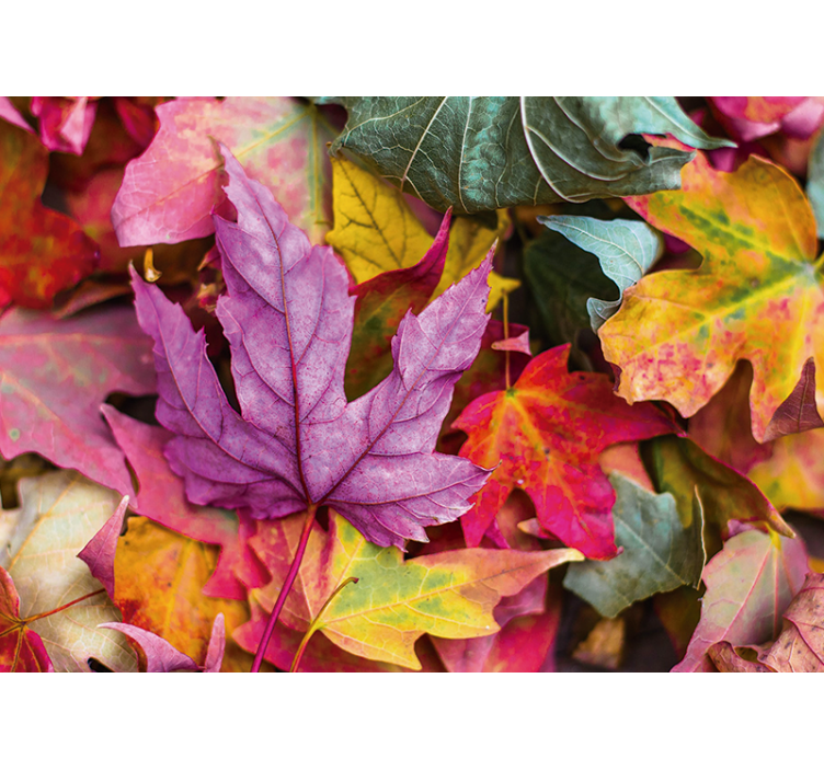 Flower mural with vibrant leaf patterns - TenStickers