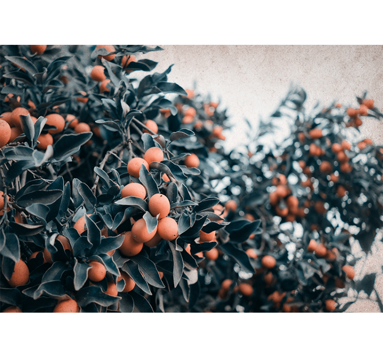 Flower mural citrus fruit branch - TenStickers