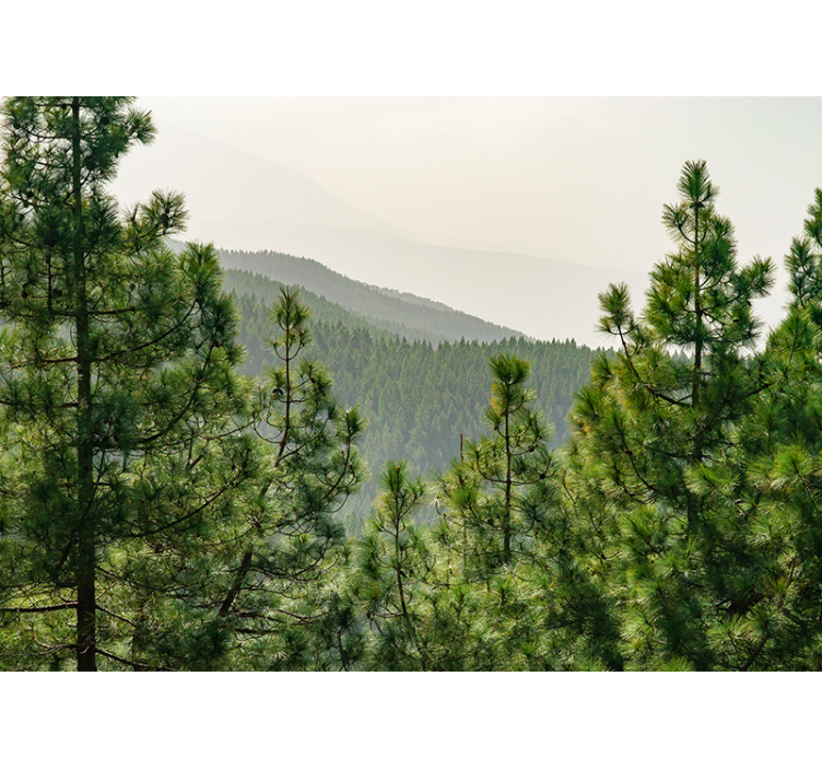 Nature wall mural lush green landscape - TenStickers