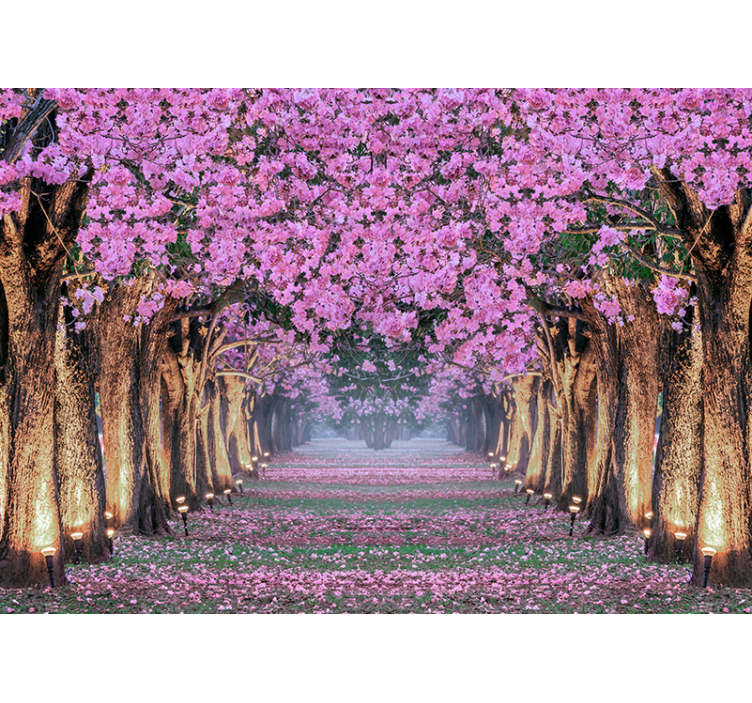 Flower mural cherry blossom path - TenStickers