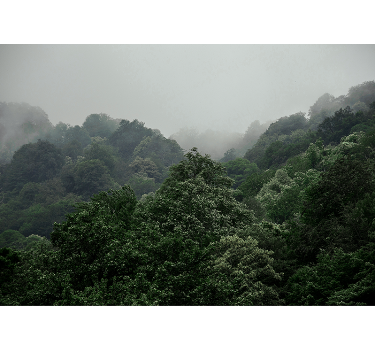 Green trees and fog from above Wall Mural - TenStickers