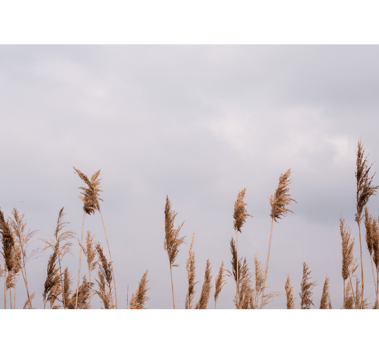 Tree mural with tall grass silhouettes - TenStickers