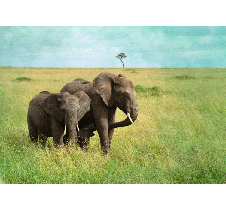 Animal wall mural elephants in grassland - TenStickers