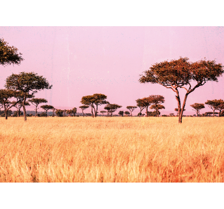 Landscape mural wallpaper serene savanna scene - TenStickers